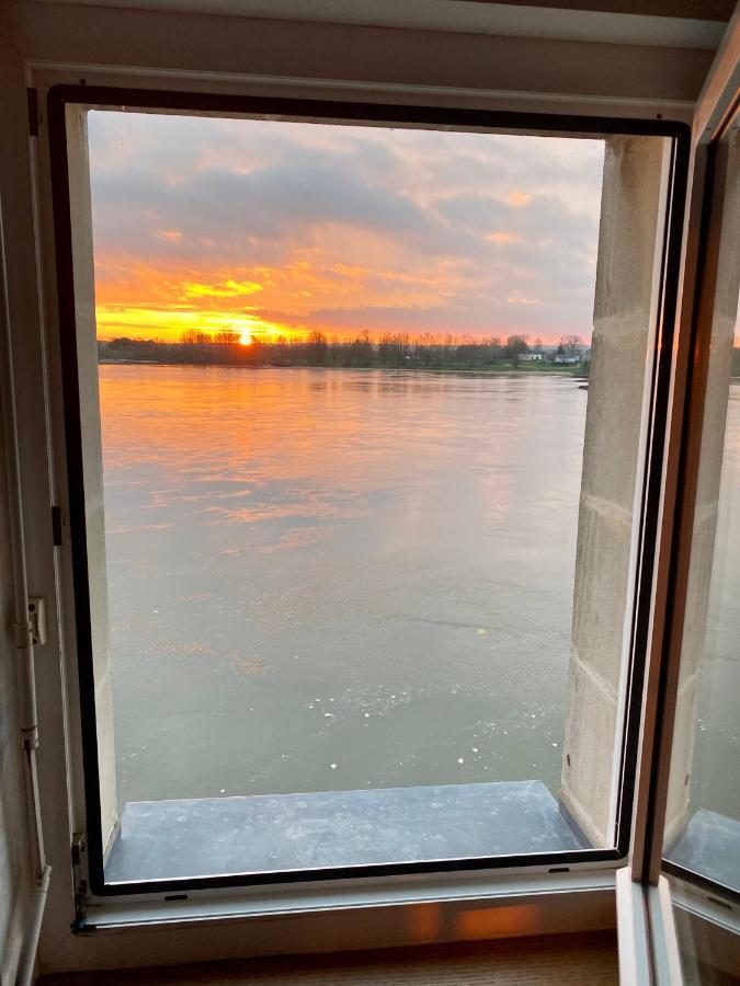 Gite Loirizon Vue Loire 4 Personnes Ingrandes  Exterior photo
